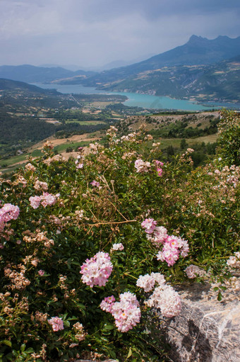 罗纳阿尔卑斯山脉地区