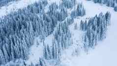 空中视图森林冬天