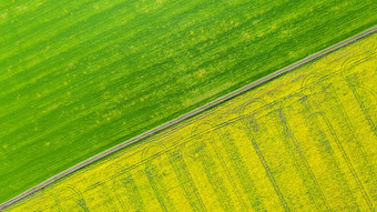 空中视图农业字段