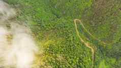 空中视图热带热带雨林覆盖云雾