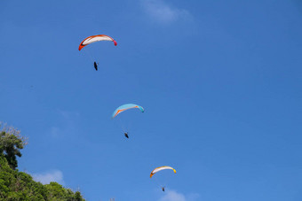 跳伞天空单滑翔伞飞行夏天一天热带巴厘岛岛美丽的滑翔伞飞行绿马术背景概念活跃的生活方式极端的体育运动