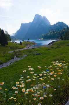 瑞士阿尔卑斯山脉景观