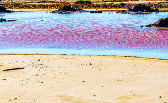 粉红色的湖西班牙不寻常的<strong>现象</strong>矿物影响什么