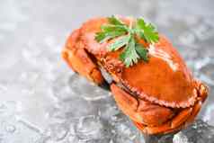新鲜的蟹冰背景煮熟的螃蟹海鲜