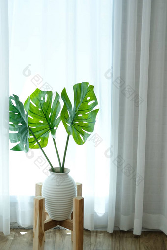 monstera植物<strong>陶瓷花瓶</strong>纯粹的窗口