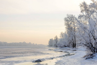 树覆盖霜冰雪关闭第聂伯河河