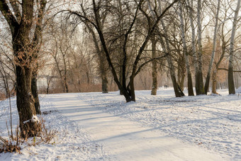 冬天公园