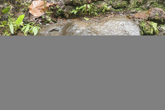 湿博尔德儿子们阿梅塔喷雾瀑布巴厘岛岛印尼棕色（的）石头热带丛林热带植被覆盖潮湿的石头周围的环境自然背景
