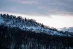 雪覆盖树冬天雪山冬天雪mountai