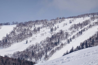 雪覆盖树冬天雪山冬天雪mountai