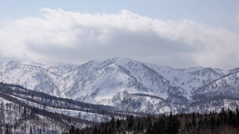 雪覆盖树冬天雪山冬天雪mountai