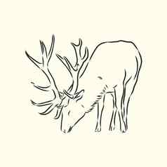 手画森林鹿向量草图插图