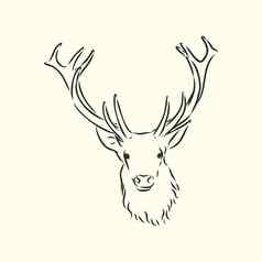 鹿肖像手画向量插图分别设计肖像鹿鹿头向量草图插图