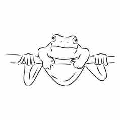 大纲画青蛙孤立的白色青蛙向量草图插图