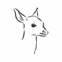 年轻的鹿向量轮廓小鹿向量草图插图
