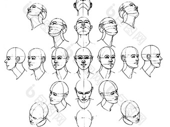 阶段画人类头插图画头