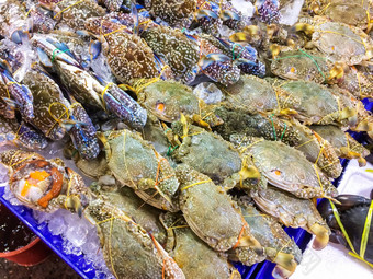 新鲜的<strong>梭子蟹</strong>属远洋杉托盘容器冰蟹市场受欢迎的旅游选择买海鲜