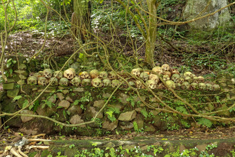 头骨坟墓terunyan墓地岛<strong>巴厘岛</strong>人类头骨堆放行前石头墙下榕树树吸收气味腐烂的人类仍然是