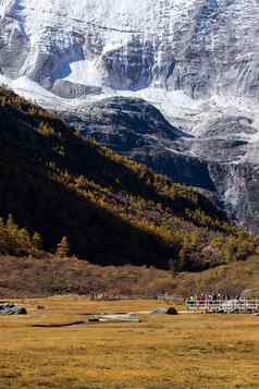 色彩斑斓的秋天森林雪山雅自然Res