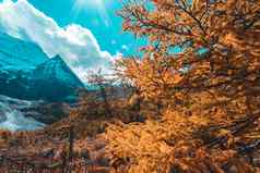 色彩斑斓的秋天森林雪山雅自然Res
