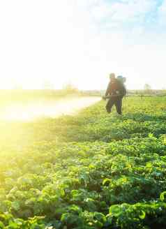 农民喷雾作物农药化学物质农业农业农业综合企业农业行业保护昆虫植物真菌感染小农场