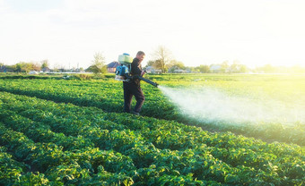 农民喷涂化学铜硫酸土豆种植园保护真菌感染农业综合企业农业行业作物保护现代技术农业