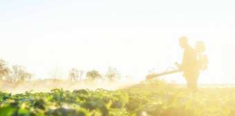 农民培养土豆种植园保护害虫真菌疾病植物昆虫化学物质农业农业农业综合企业农业行业