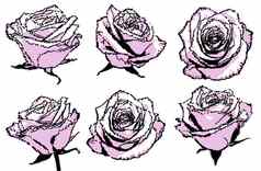 黑色的粉红色的半色调点玫瑰集