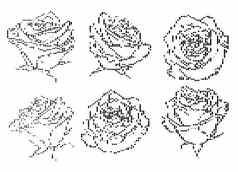 黑色的白色半色调装饰玫瑰插图