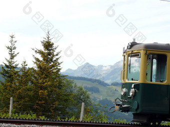 wengen瑞士架铁路领先的慢慢的