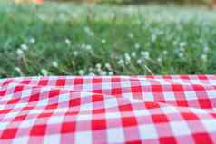 红色的网纹桌布纹理绿色草加尔省