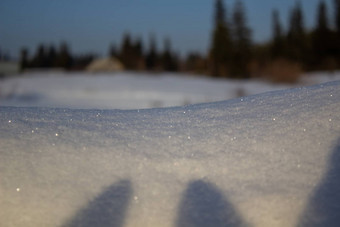 冬天森林<strong>梳理</strong>覆盖雪森林<strong>梳理</strong>雪站冬天木圣诞节树雪冬天森林