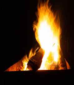 火伯恩斯烧烤晚上明亮的火木火焰晚上