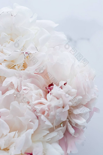 花束牡丹花奢侈品花背景婚礼装饰事件品牌