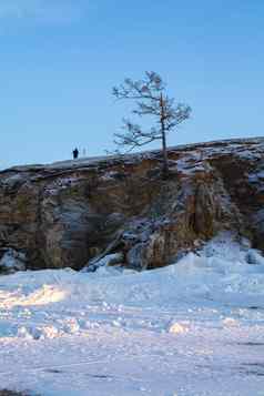 树冬天悬崖景观图像