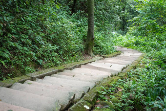 岩石楼梯步骤山