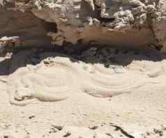 埃及沙漠毒蛇蛇沙子