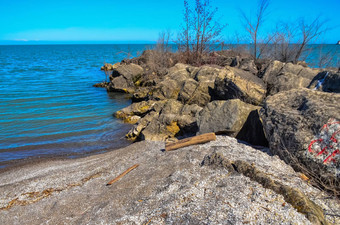海岸石头小植被桑迪海滩拉克