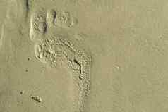 脚步海滩桑迪脚步珊瑚桑迪海滩的足迹沙子