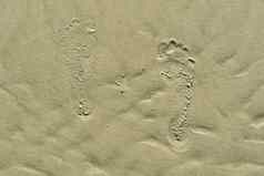 脚步海滩桑迪脚步珊瑚桑迪海滩的足迹沙子