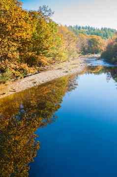 周日河收敛反射金秋天颜色树叶