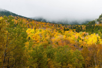 云卷谷才华横溢的秋天彩色的森林哗啦啦