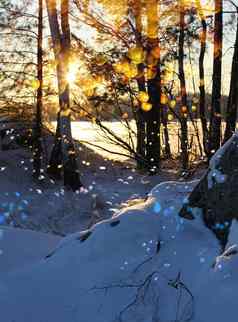 冬天日落降雪闪闪发光的湖岸
