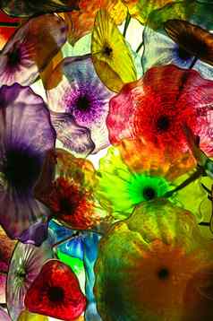 色彩斑斓的玻璃水母