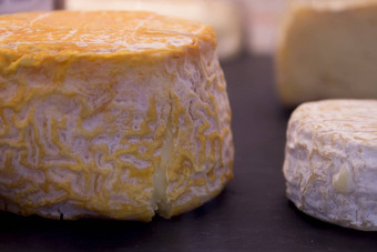各种奶酪由金马伊瓦拉