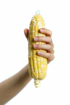 成熟的玉米避孕套手白色背景孤立的