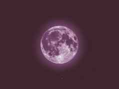 粉红色的月亮望远镜布满星星的天空
