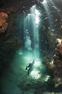 潜水潜水员水下洞穴