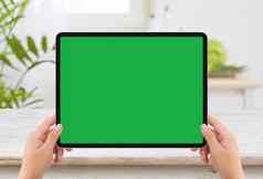 孤立的人类手持有黑色的平板电脑媒体设备白色绿色屏幕模型木表格厨房