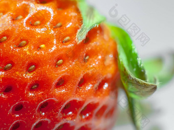 关闭新鲜的成熟的草莓水果健康的草莓引入